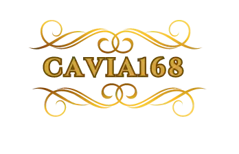 cavia1688